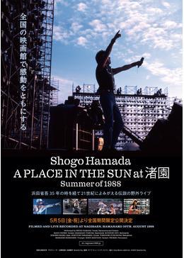 浜田省吾 『A PLACE IN THE SUN at 渚園 Summer of 1988』