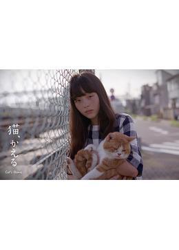 猫、かえる Cat'ｓ Home