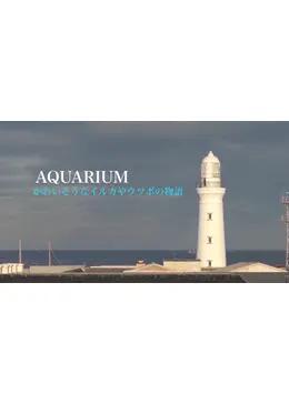 AQUARIUM かわいそうなイルカやウツボの物語