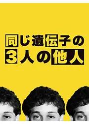 白の花実