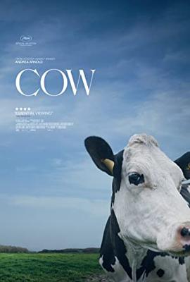 ＣＯＷ／牛