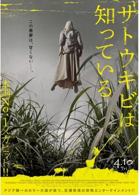 サトウキビは知っている