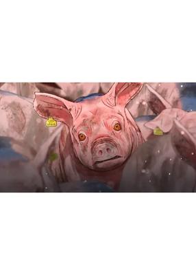 口蹄疫から生きのびた豚