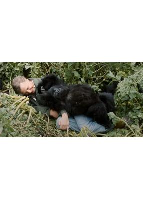 デヴィッド・アッテンボロー：ゴリラが紡ぐ物語