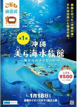 沖縄美ら海水族館 〜海からのメッセージ〜