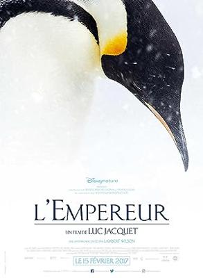 皇帝ペンギン ただいま