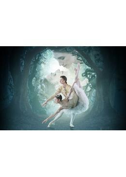 英国ロイヤル・オペラ・ハウス シネマシーズン2016／17／ロイヤル・バレエ　「眠れる森の美女」